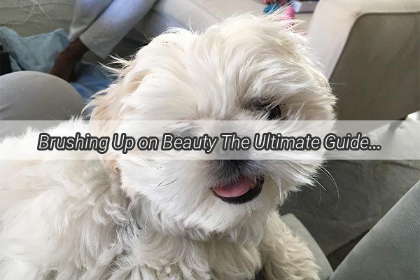 Brushing Up on Beauty The Ultimate Guide to Grooming Your Furry Friends Fluffy Coat